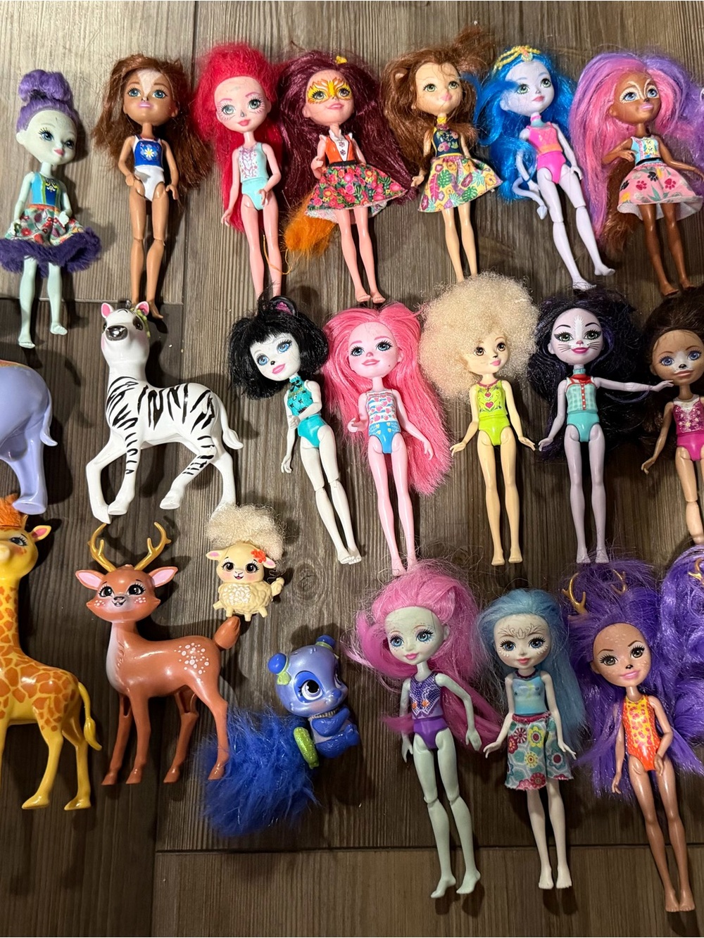 Huge lot of Enchantimals 19 dolls and 14 animals.